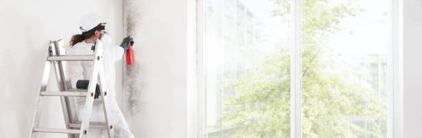 Best Residential Mold Inspection & Testing  in Houghton, MI